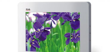 智能化安防與網絡工程的綜合構建 從監控施工到光纖熔接的全流程解析